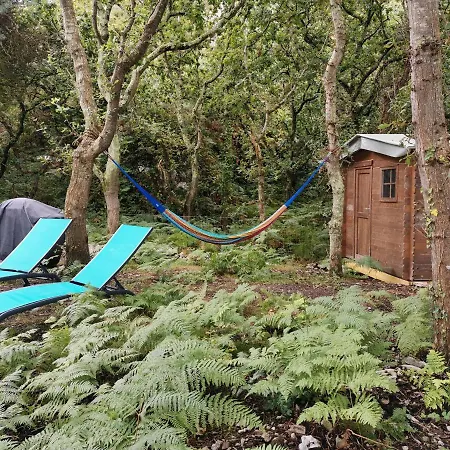 Au Courtil Des Chênes Marins, Meublé 3 étoiles Chalet *